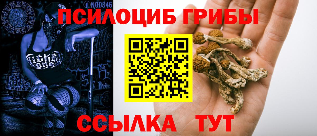 Жигулёвск  ГАШИШ  Каннабис  Вход с VPN  МЕФ кристаллы 