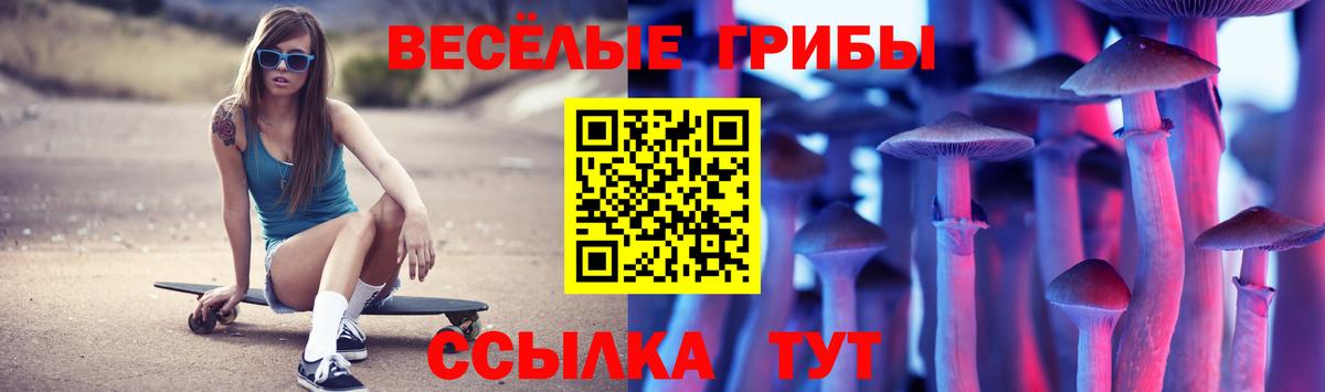 Жигулёвск  Псилоцибиновые грибы MAGIC MUSHROOMS  Вход с VPN 