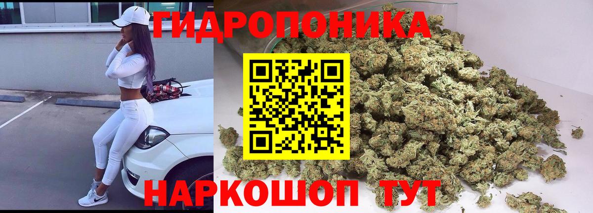 Шишки марихуана сатива  Бошки марихуана ГИДРОПОН  Жигулёвск  Канабис сатива  Вход с VPN 
